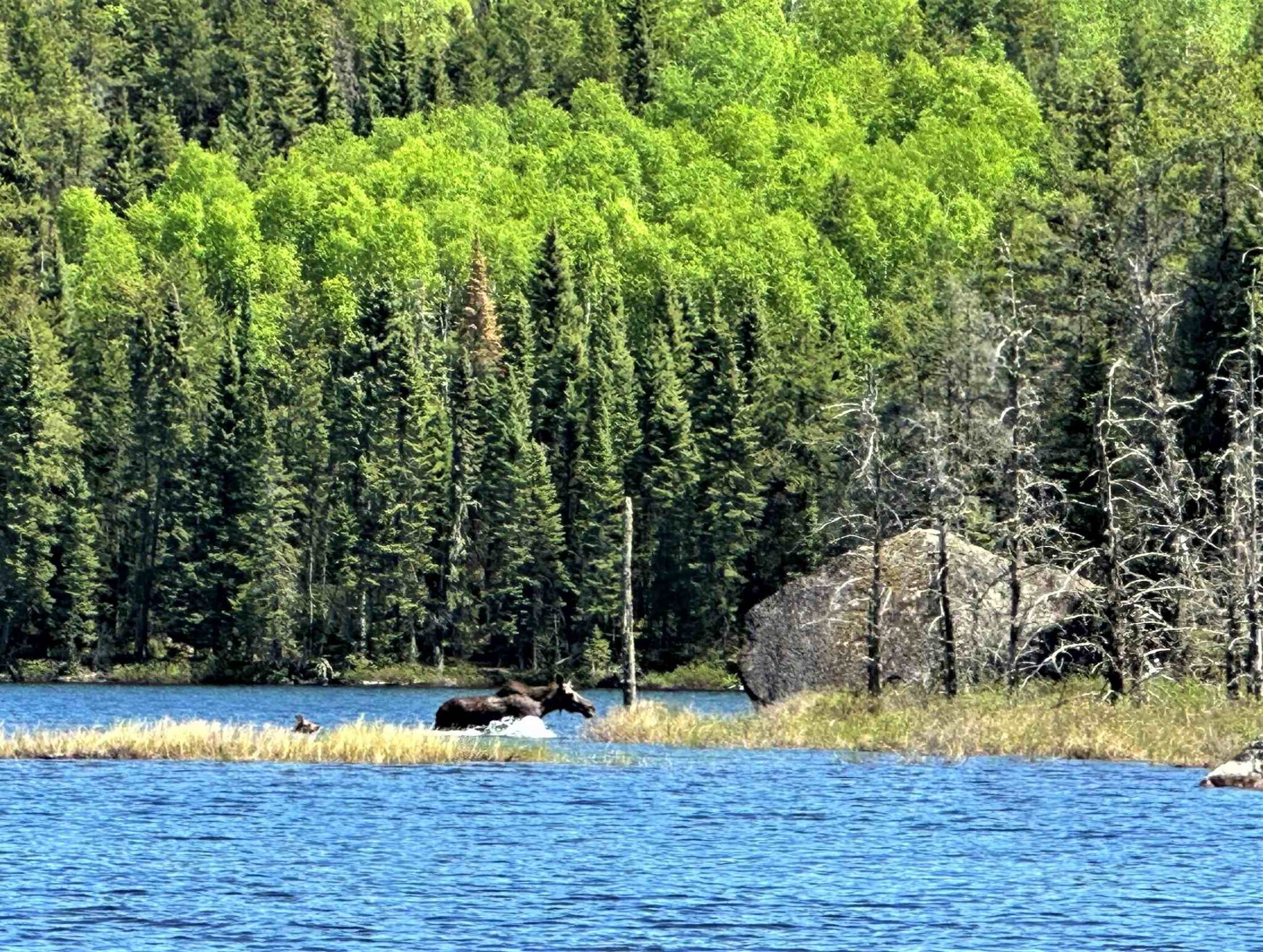 May 2023 VBL fishing report Vermillion Bay Lodge